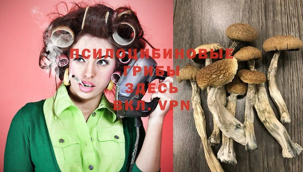 прущие крисы Зерноград