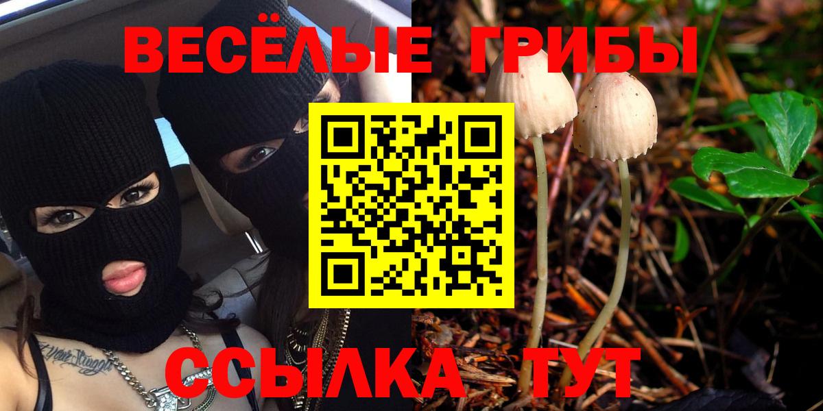 Псилоцибиновые грибы Cubensis Северобайкальск