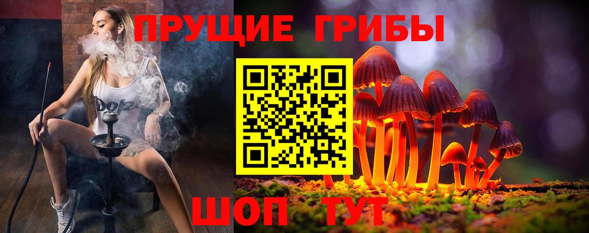 Псилоцибиновые грибы ЛСД  Галлюциногенные грибы ЛСД  Северобайкальск  Вход с VPN 